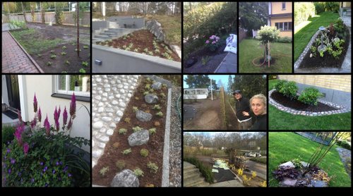 Plantering i BRF